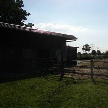 B) Offenstall mit Paddock und Raufe inkl. Notbox