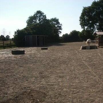 C) Paddock mit Weidehütte und großer Raufe