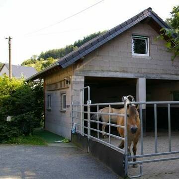 Offenstall mit Wanderreitzimmer