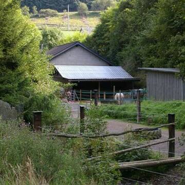 Bild: Stall in  Acht