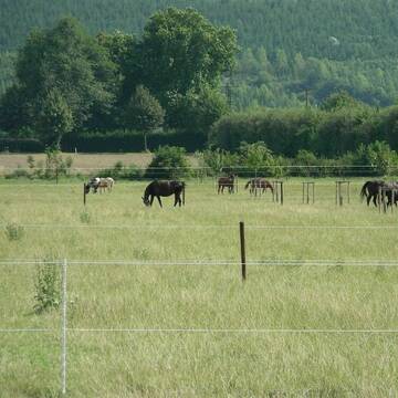 Teil der Weideflächen