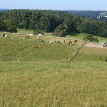 Schlechtwetterplatz und ein kleiner Teil Koppeln
