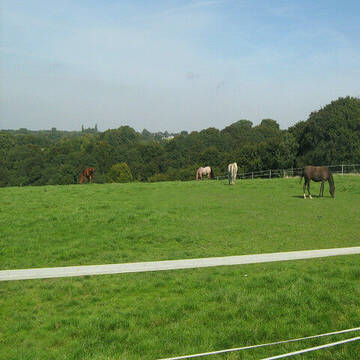 eine der großzügigen Wiesen