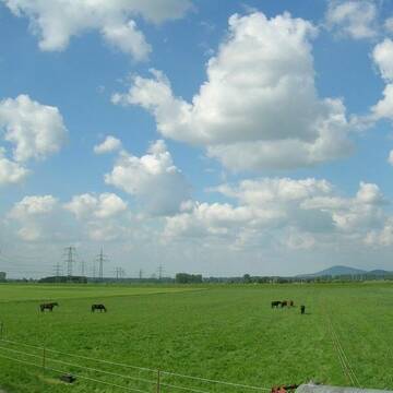 große, flache Koppeln mit automatischen Tränken