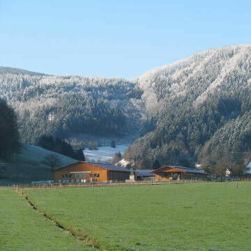 Bild: Stall in  Buchenbach