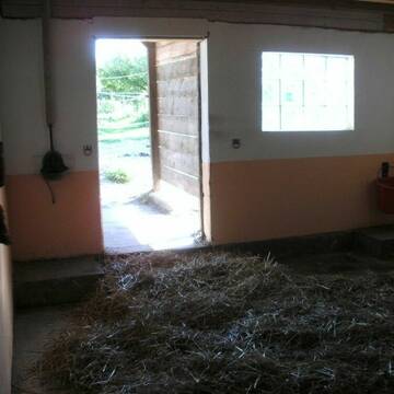 geräumige Außenboxen