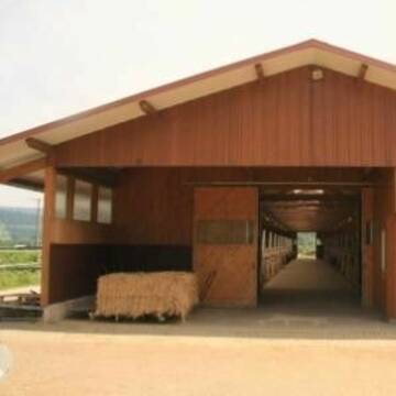 Boxenstall von vorne