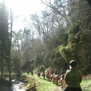Bild: Reitbeteiligung in  Rottenburg am Neckar