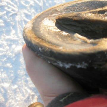 Bild: Service in  Weil im Schönbuch