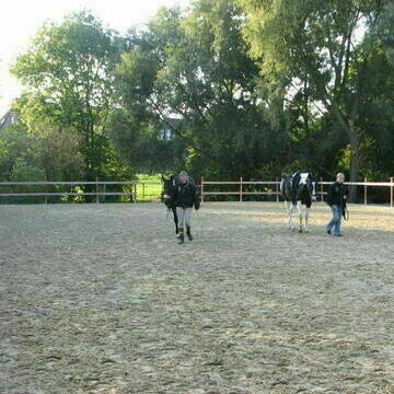 Allwetter-Aussenplatz, dahinter 24.000qm Weideflä