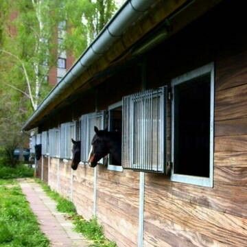 Bild: Stall in  Bemerode