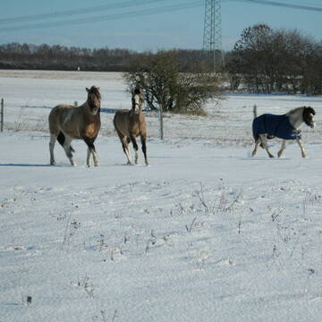 und im Winter, den ganzen Tag draußen...