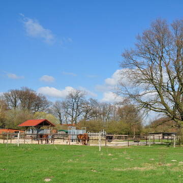 Bild: Stall in  Syke