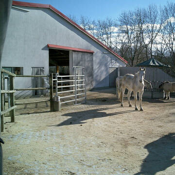 Bild: Stall in  Aystetten