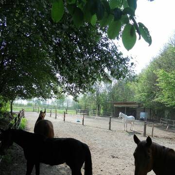 Weitere Unterstellbereiche im Hintergrund