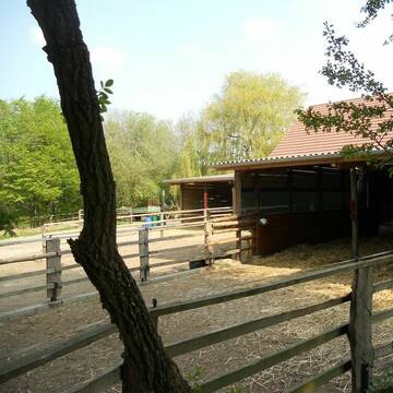 verschiedene Stallbereiche