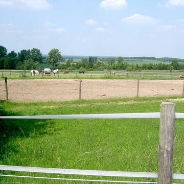 Weide /Reitplatz