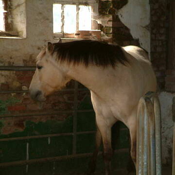 Bild: Service in  Essen