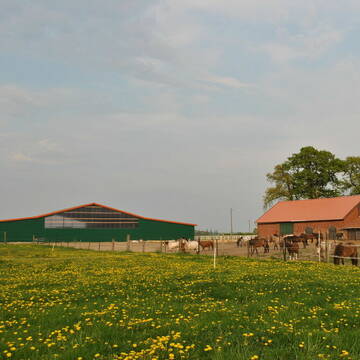Bild: Stall in  Bücken