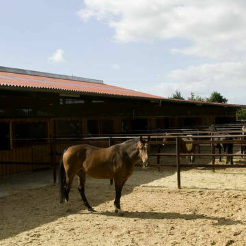 Bild: Stall in  Osterholz-Scharmbeck