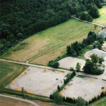 Bild: Stall in  Haßloch