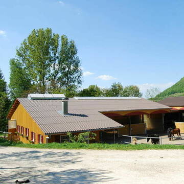 Laufstall nach Feng Shui