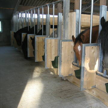 Fütterung Aktivstall