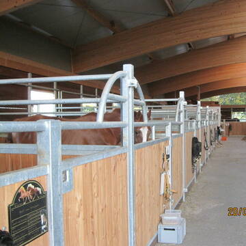 Innenansicht Paddockboxen