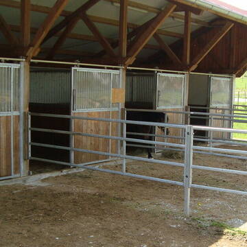 Bild: Stall in  Utting am Ammersee