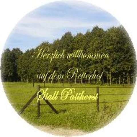 Bild: Stall in  Steinhagen