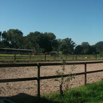 beleuchteter Aussenreitplatz 20x60