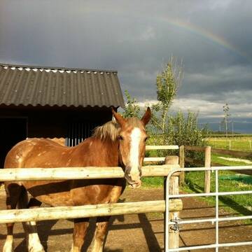 Bild: Stall in  Ismaning