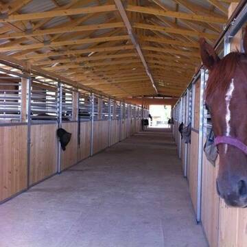 Bild: Stall in  Schwabhausen