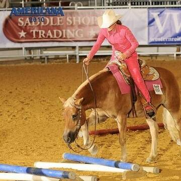 Bild: Stall in  Schwabhausen