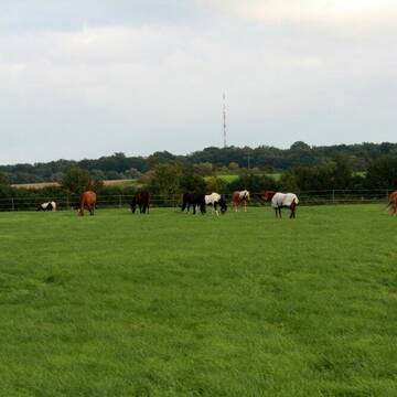 Bild: Stall in  Klempau