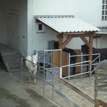 Bild: Stall in  Immendorf