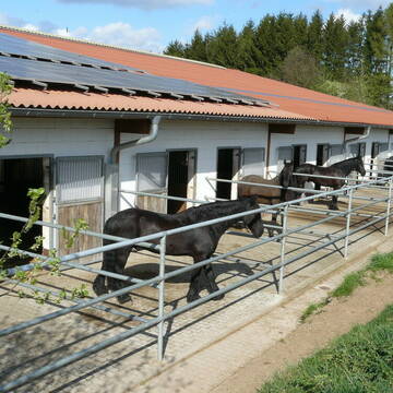 Bild: Stall in  Nohfelden