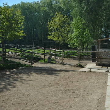 C) Kraftfutterstation