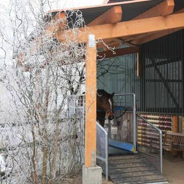 Pferdelaufband Hors-Gym