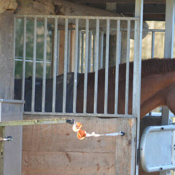 Laufstall Gut Ommeroth