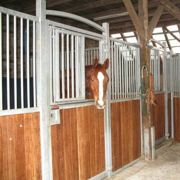 neue Pferdeboxen
