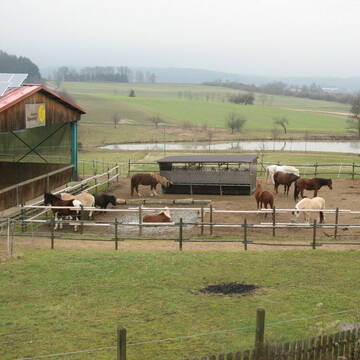 Oberer Auslauf Ransbacher Sonnenhof