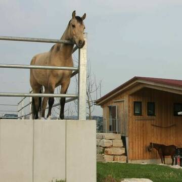 Bild: Stall in  Waldenbuch