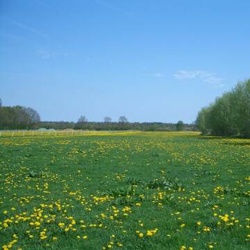Bild: Stall in  Dassendorf