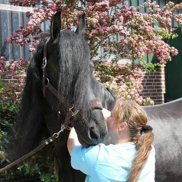 Bild: Service in  Bremen