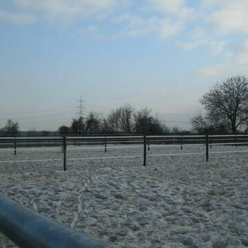 Bild: Stall in  Rommerskirchen
