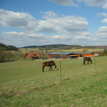 weitläufige Koppeln