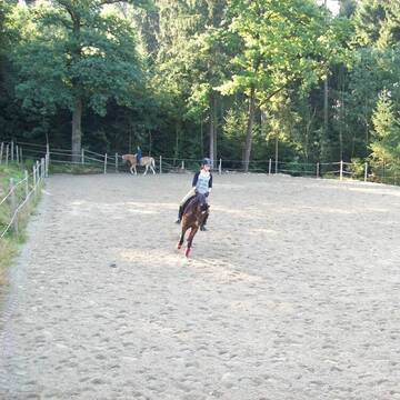 Reitplatz 43x20m