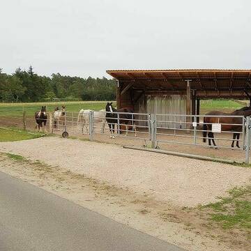 Offenstallanlage mit Weiden