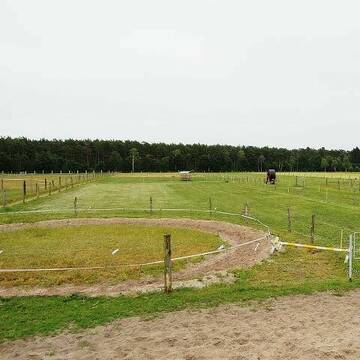 Longierzirkel mit anliegenden Weiden